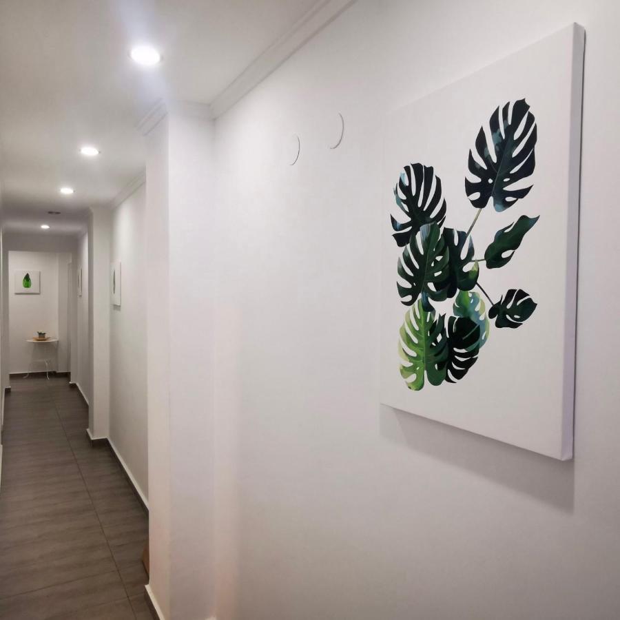 Hda Apartment 托雷维耶哈 外观 照片